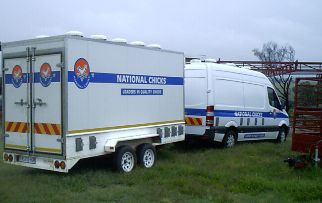 Day old chick trailer